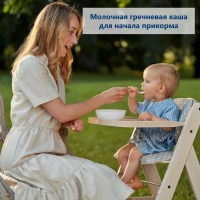 Каша HiPP (Хипп) молочная Гречневая с пребиотиками, 250 г