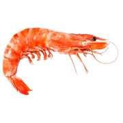 Креветка красная с головой в панцире L1, 2 кг
