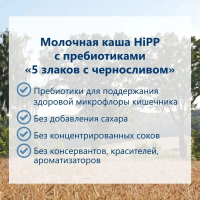 Каша HiPP (Хипп) молочная 5 злаков с черносливом, с пребиотиками, 250 г