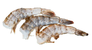 Креветка без головы в панцире мороженая 21/25 , 1 кг