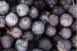 Смородина черная замороженная, 1 кг