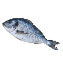 Дорадо  непотрашен. 400-600 г.