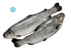 Форель (тушка) радужная потрошеная с головой мороженая, около 5-6 кг