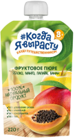 Пюре ЯБЛОКО МАНГО ПАПАЙЯ БАНАН без сахара, 220 г 