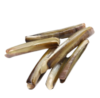 Черенок морской (Навахас), на створках раковины, 40/60, 300г