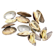 Клемы Вонголе в раковине варено-мороженые, 500 г