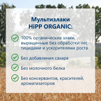 Каша сухая безмололочная зерновая 