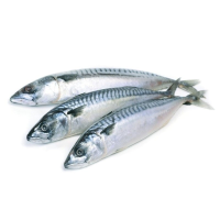Скумбрия с/м 400-600 г, 20 кг