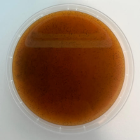 Масса ванильная JOYPASTE MADAGASCAR/ BOURBON, 1,2 кг