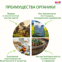 Каша HiPP (Хипп) безмолочная Мультизлаки с тыквой и морковью, 200 г
