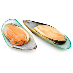 Мидии зелёные на полустворке раковины 30/45, 1кг