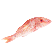 Барабулька целая с головой, размер 100-200 г, весовая