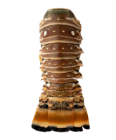 Лангусты (хвосты) с/м IQF, 200-300 г, весовые