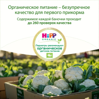 Пюре Цветная капуста. Мое первое пюре, 80 г