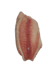 Филе тилапии без кожи, размер 140-200 г, весовое