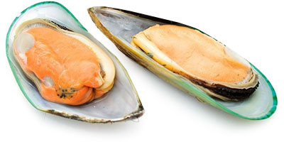 Мидии зелёные на полустворке раковины 30/45, 1кг