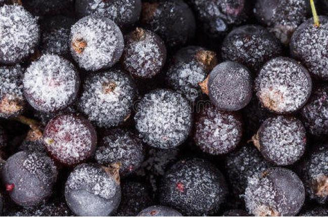 Смородина черная замороженная, 1 кг