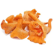 Грибы лисички быстрозамороженные,1 кг 