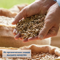 КашаHiPP (Хипп) безмолочная Мультизлаки с тыквой и морковью, 200 г