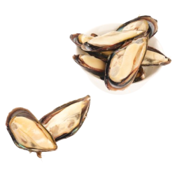 Мидии синие на полустворке раковины 30/45, Китай, 1 кг