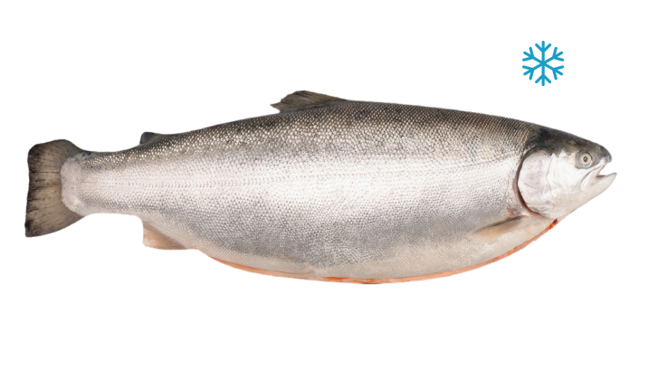 Форель радужная потрошеная с головой мороженная (тушка), 3-4  кг