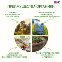 Пюре HiPP (Хипп) Цветная капуста, 80 г