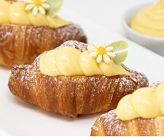 Смесь для приготовления заварного крема холодным способом EMILY CREAM, 10 кг