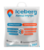 Термопакет 42*45 см