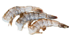 Креветка без головы в панцире мороженая 21/25 , 1 кг