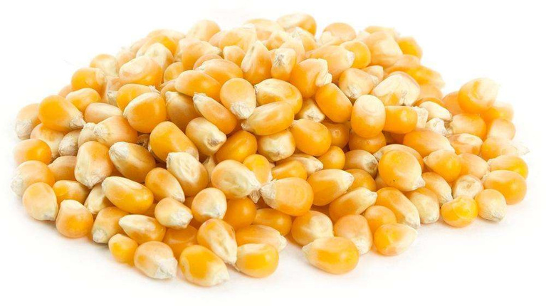 Кукуруза сладкая в зернах, 1 кор/10 кг