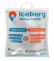 Термопакет 42*45 см